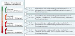 Neu entwickelter Test zum Nachweis einer genetischen Ursache für Parodontitis und Periimplantitis